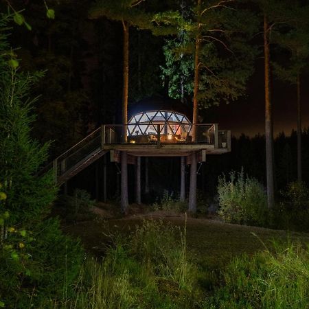 Treehouse Dome Hotel Vidnes Luaran gambar