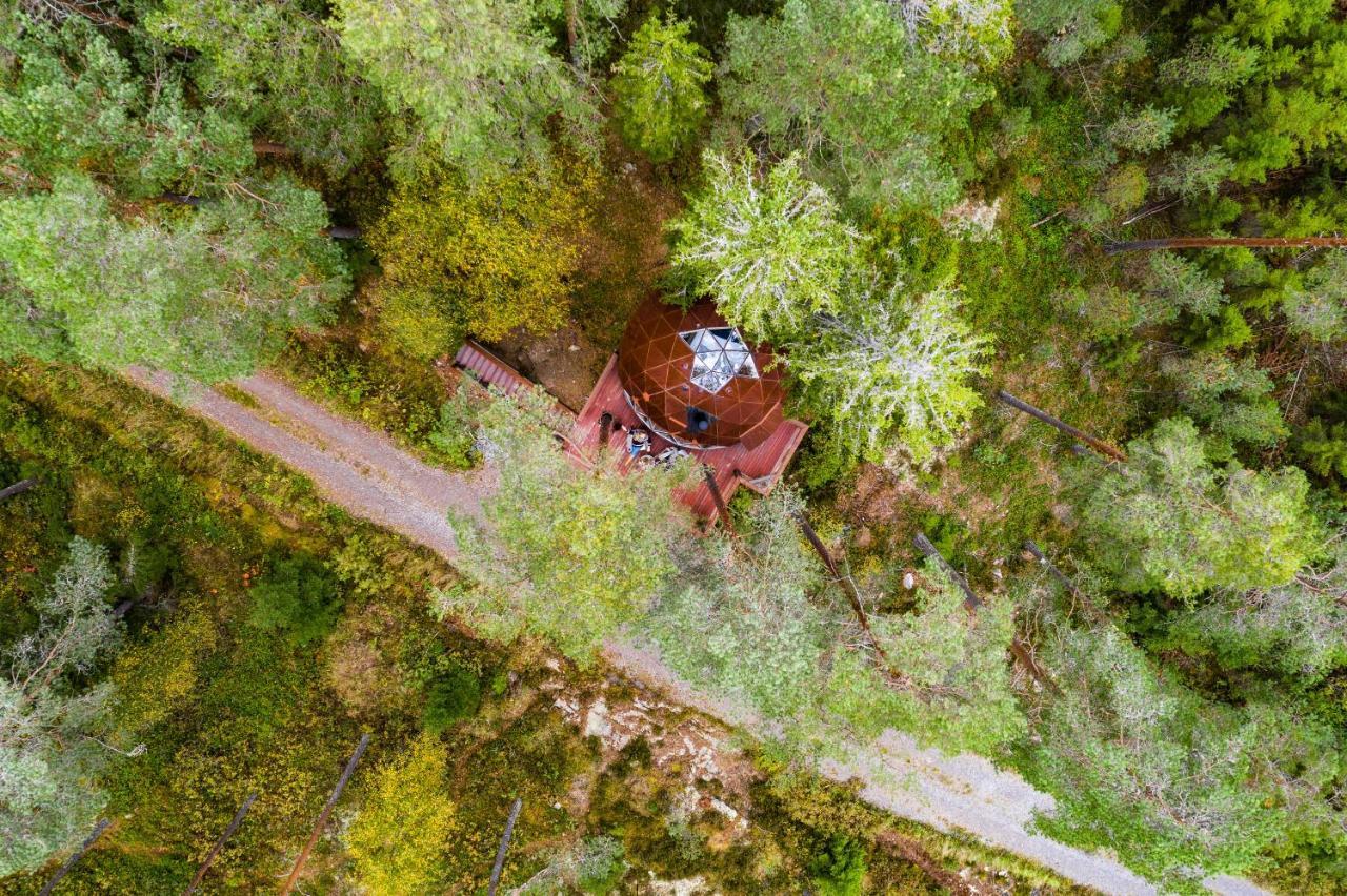 Treehouse Dome Hotel Vidnes Luaran gambar