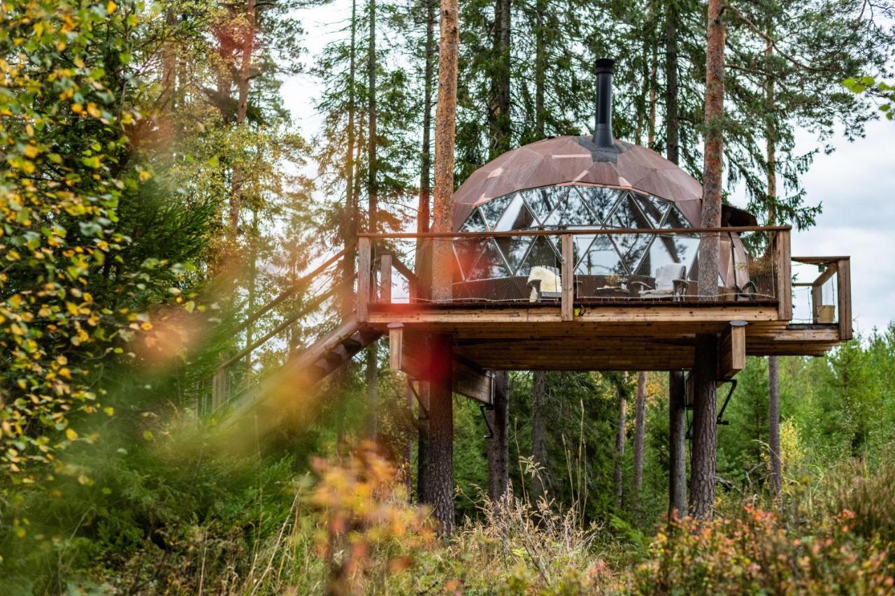 Treehouse Dome Hotel Vidnes Luaran gambar